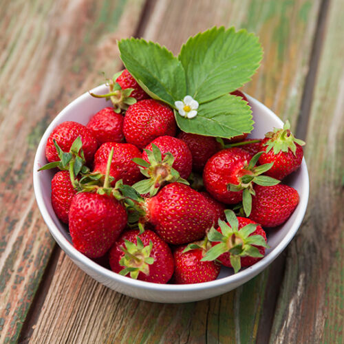 TARDIVE - (recolta vara)