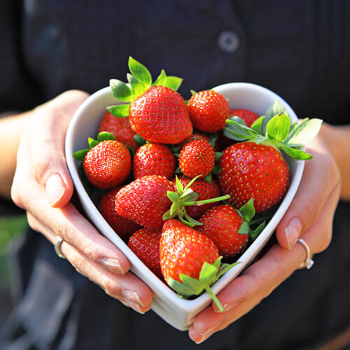 TIMPURII - (recolta primavara)