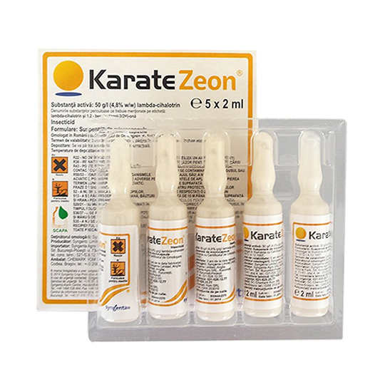 karateee